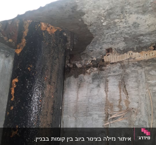 עמוד מתכת חלוד עם סימני רטיבות בתקרה